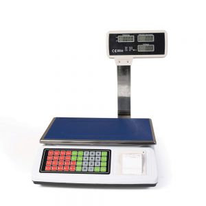 Bilancia digitale professionale con stampante 50 kg divisione 5 g Bilancia da banco 