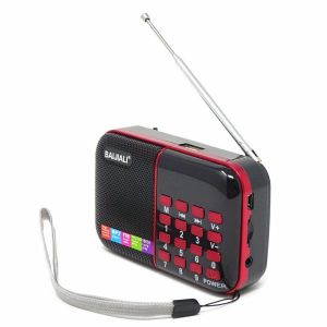 Mini Radio Portatile Radiolina Fm Lettore Mps Usb Microsd Bjl-180