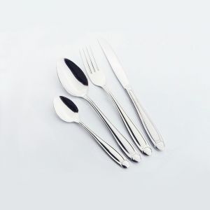 Set posate cucina coltelli forchette cucchiai cucchiaini 24 pezzi acciaio inossidabile 