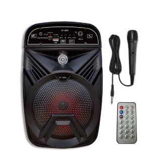 Cassa Speaker Bluetooth per Karaoke XY-0651 Supporta USB TF AUX FM Mic 30 W