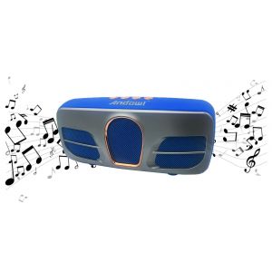 Cassa speaker wireless bluetooth FM chiamate vivavoce TF Card usb QY-15