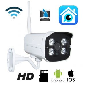 Ip Camera P2P Telecamera Wireless Wifi Ir Infrarossi Ipcam Sd Per Esterno