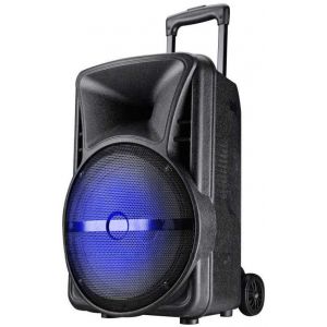 Cassa Bluetooth Trolley LED e Microfono